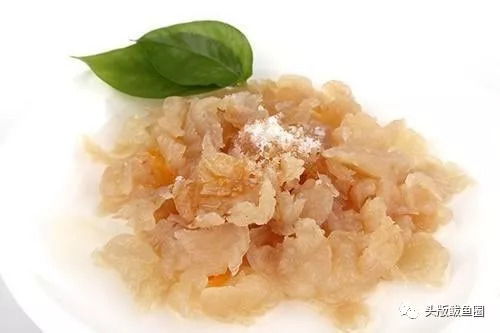 定了 2018中國 營口海蜇節新聞發布會召開,萌萌噠吉祥物首次亮相