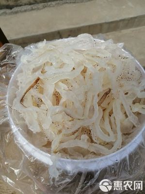 廣東海蜇頭,白花蜇頭,營養豐富,基地直發,大量有貨