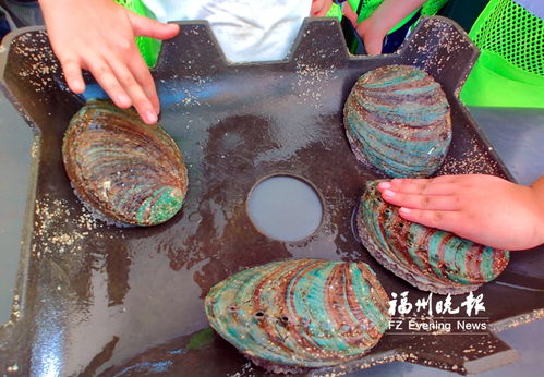 晚報寫作訓練營走進連江 長樂 福清 閩侯 探秘 海上福州 體驗耕海牧漁