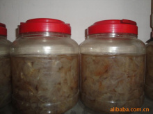 寧德鮮活水產品|寧德鮮活水產品價格|寧德鮮活水產品公司_