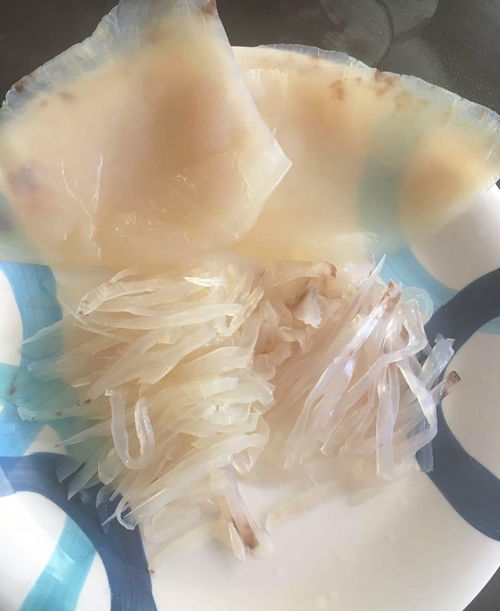 備年貨新選擇 加勒比海純野生海蜇，口感鮮美，脆而不硬