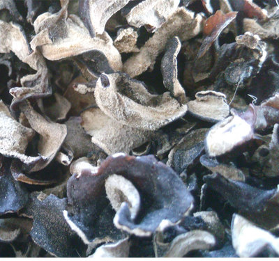 毛木耳的批發、供應與市場前景——以鴻宇農牧為例