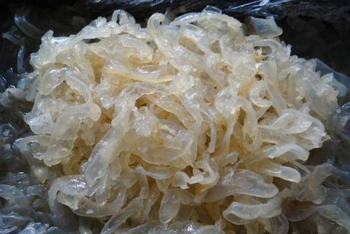 被海蜇刺痛的人生一課 一個(gè)大學(xué)生與農(nóng)村大媽的深刻相遇